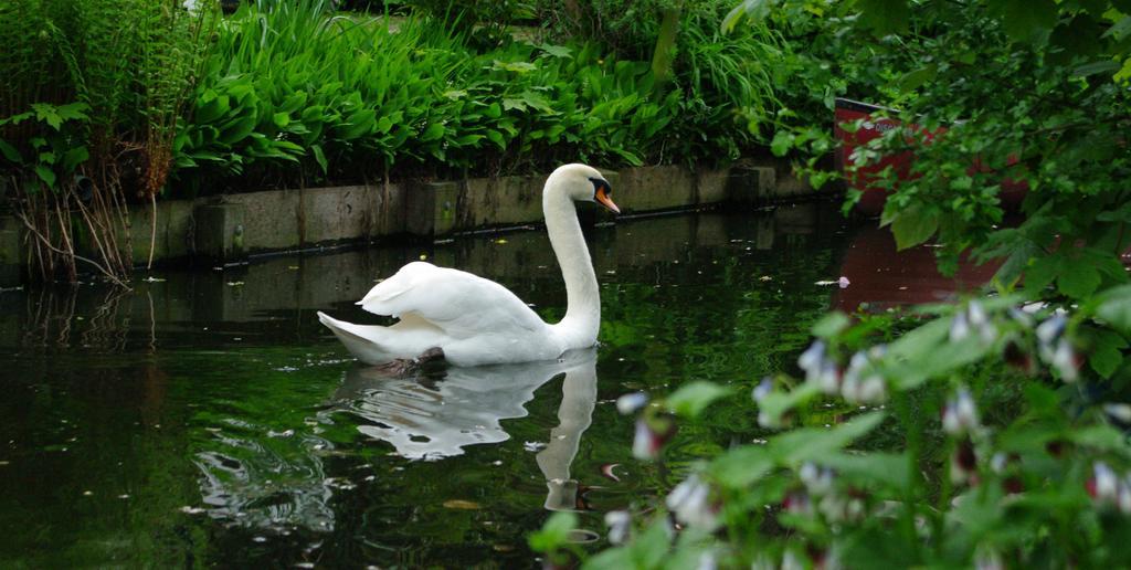 B&B Canal Deluxe Брюгге Экстерьер фото